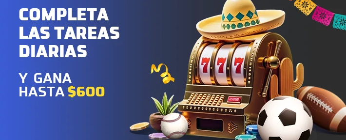 Bonos y promociones en netabet